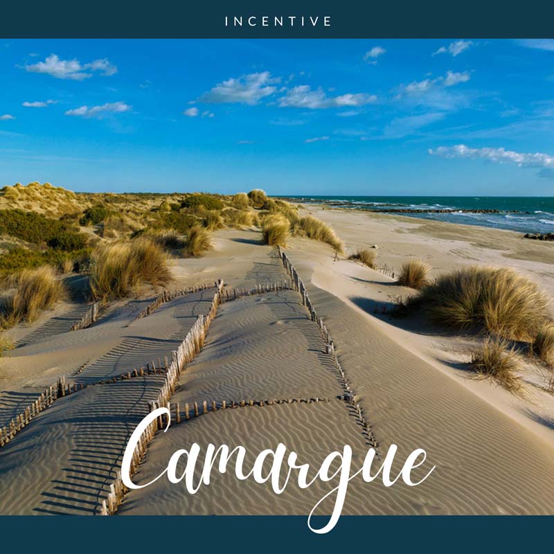 Voyage de Récompense en Camargue
